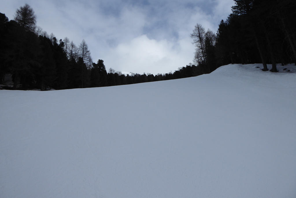 p1280993xlkuy.jpg