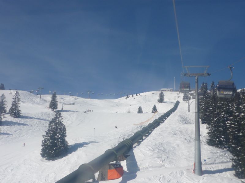 p10805976pozz.jpg