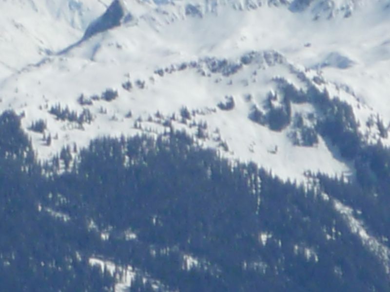 p10806508br9b.jpg