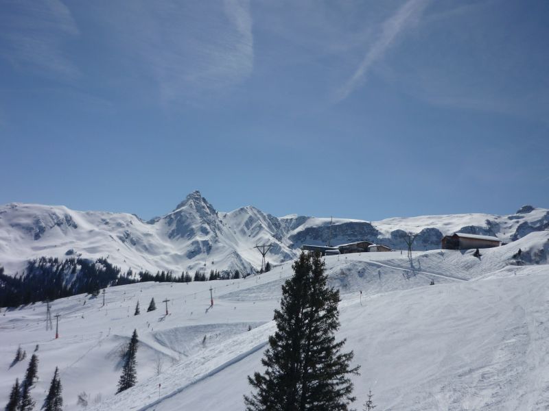 p10806611mq97.jpg