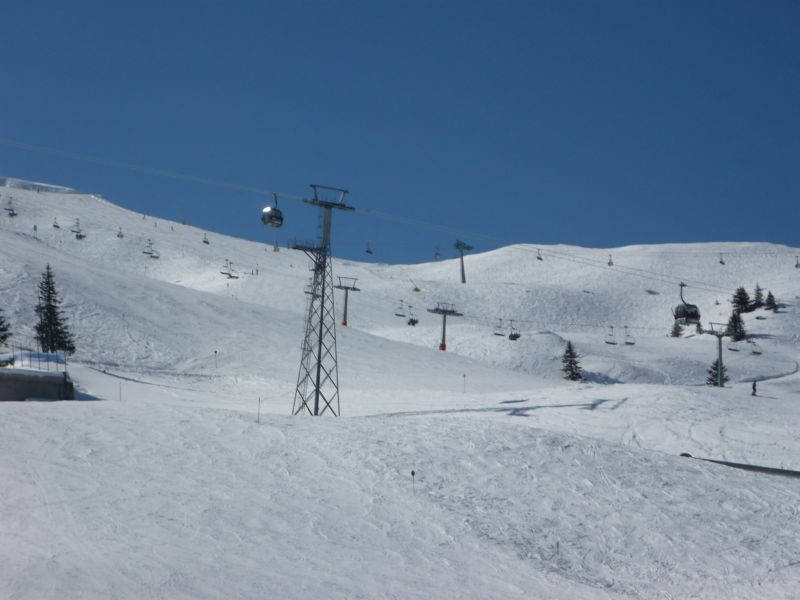 p1080730cwozy.jpg