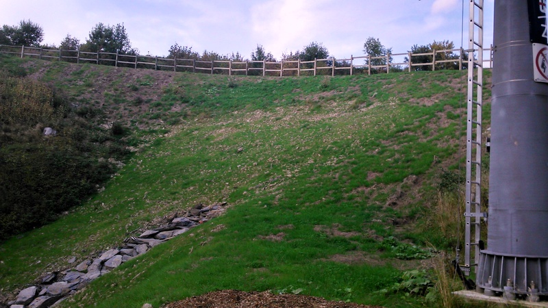 dsc_0131okste.jpg