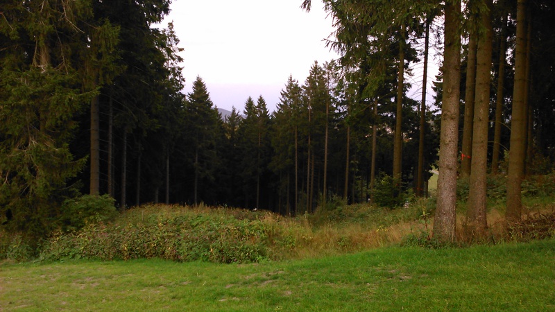dsc_0135mysoz.jpg
