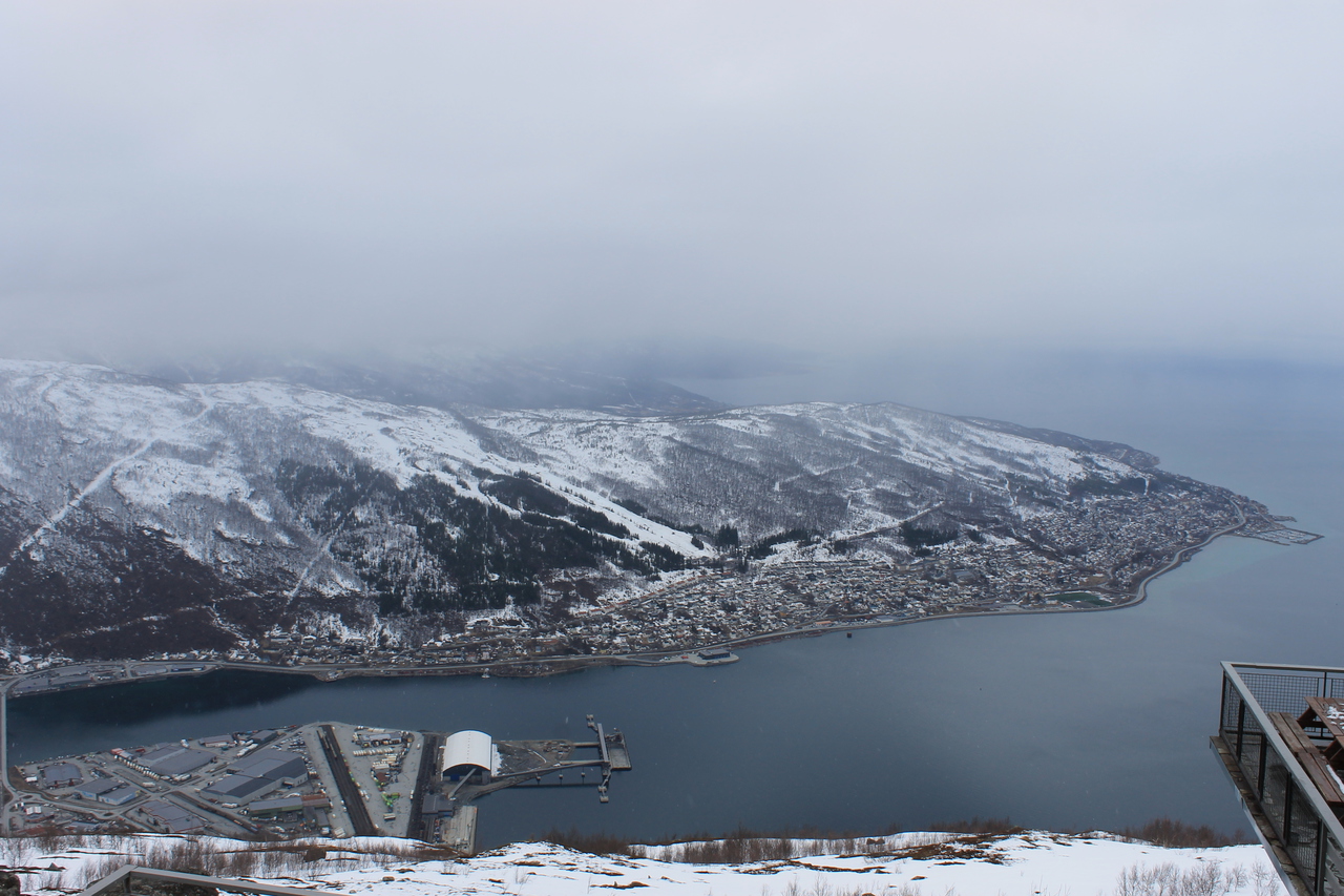 img_8706cddo6.jpg