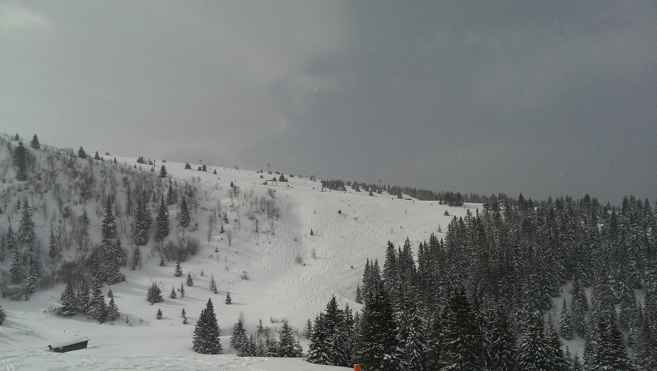imag0225p9ur9.jpg