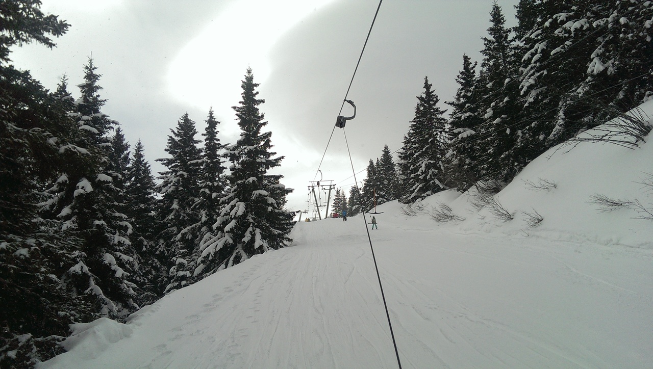 imag0235rxu9h.jpg