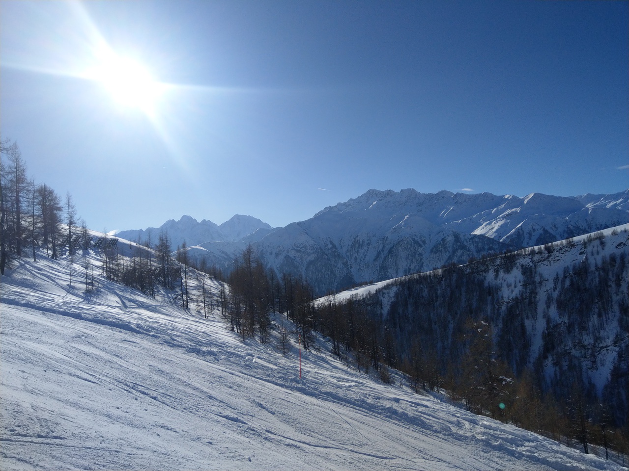 imag08576arzc.jpg