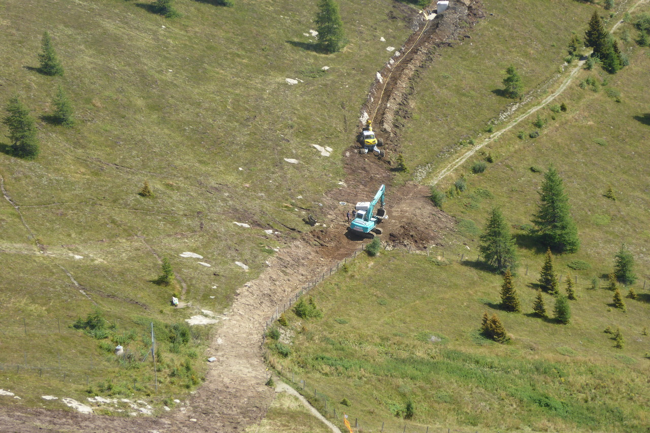 p1000889brstt.jpg
