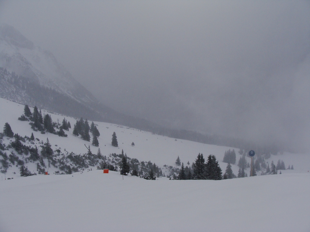 1.3.16ehrwald00645qt5.jpg