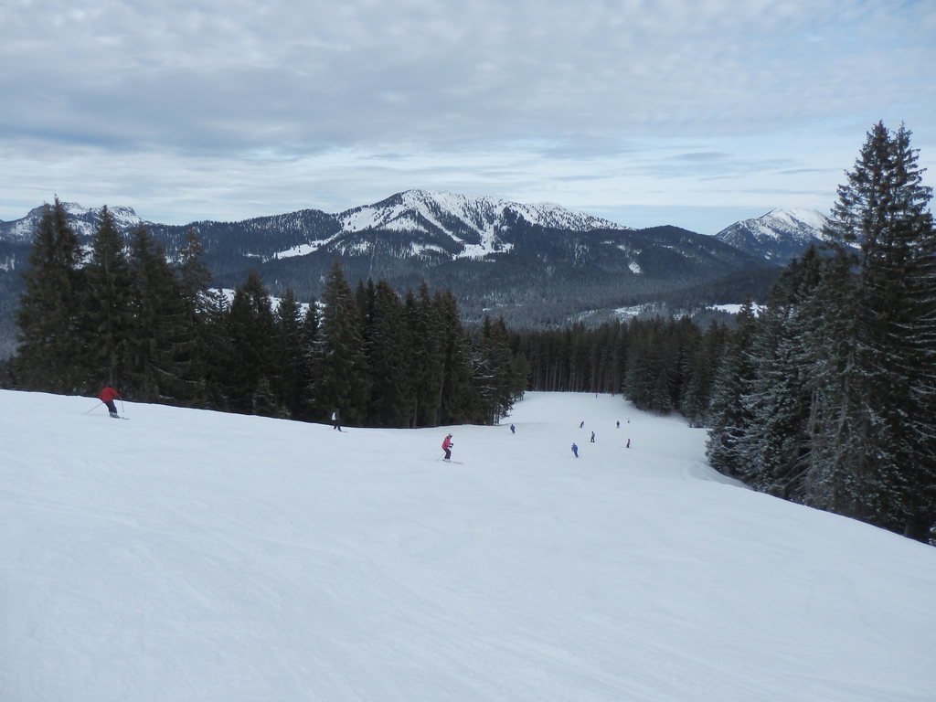 15.1.15steinplatte06806a5z.jpg