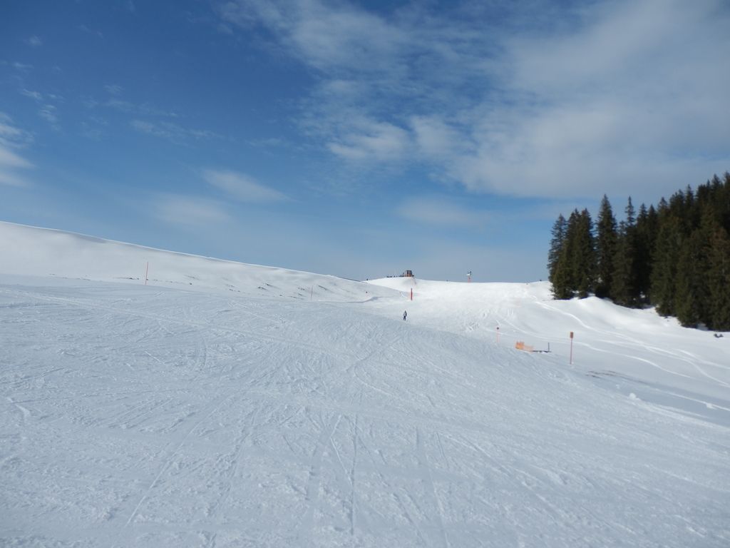 15.1.15steinplatte086utzy6.jpg