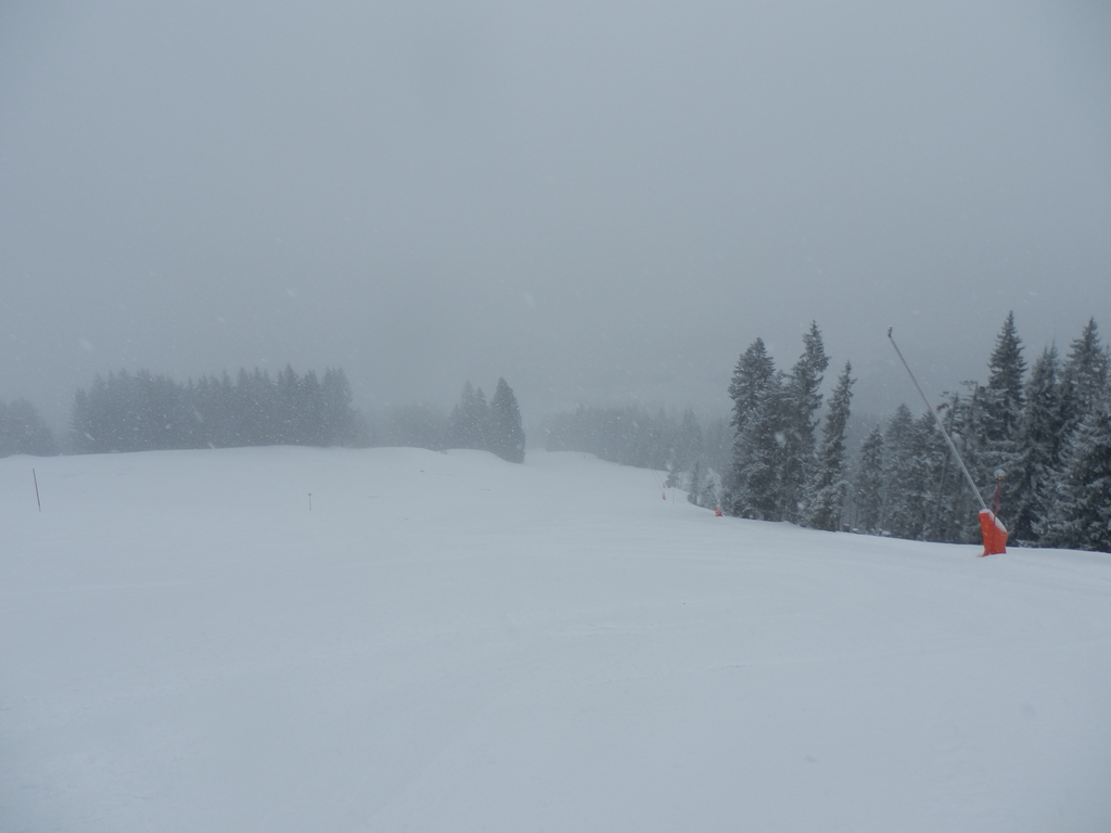 17.1.15buchensteinwanl2u71.jpg