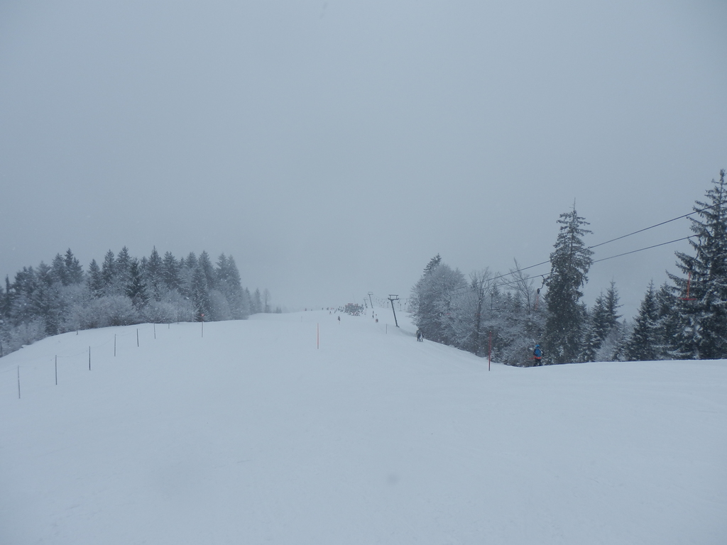 17.1.15buchensteinwanq5ug0.jpg