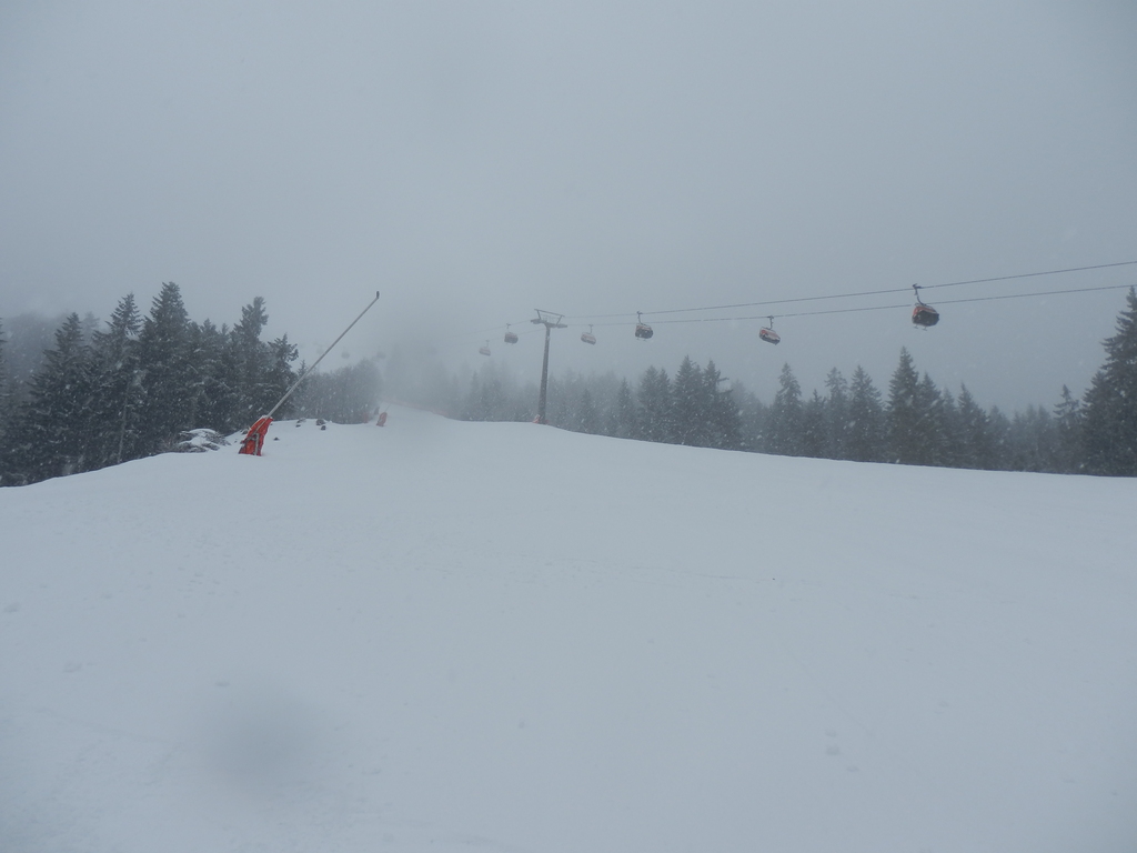 17.1.15buchensteinwanuouvf.jpg