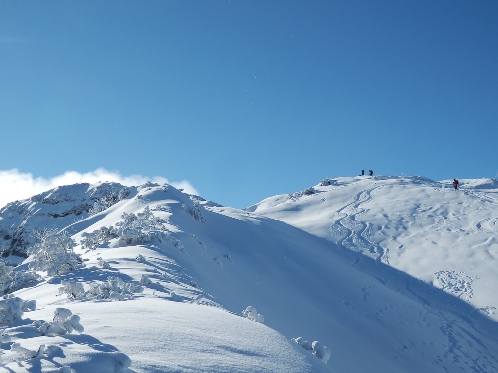 18.1.15hochkssen042e2cxe.jpg