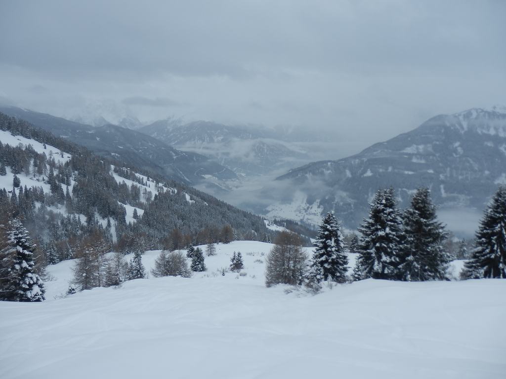 20.1.16venet181xqrip.jpg