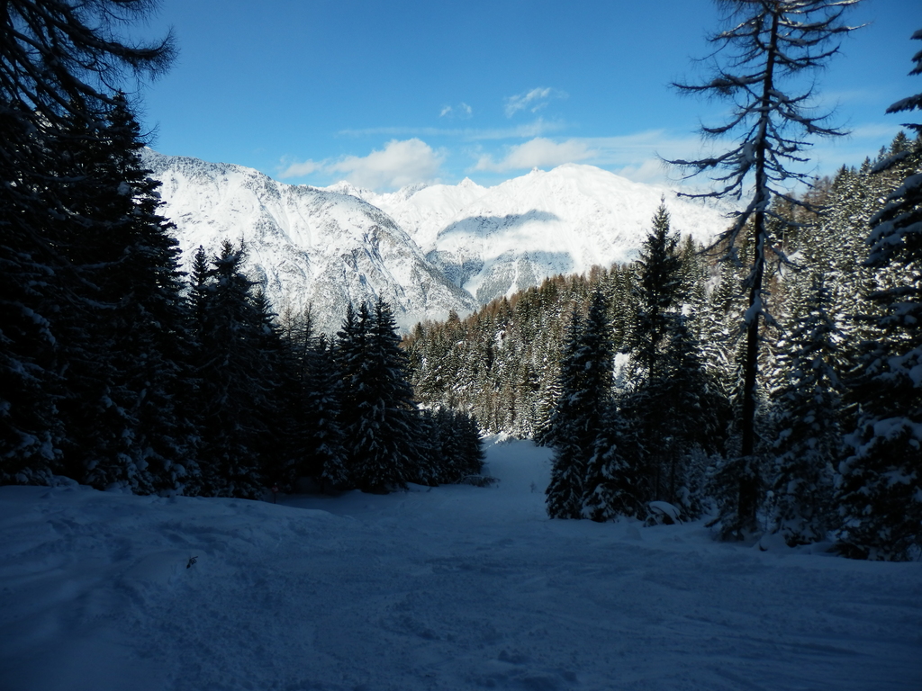 20.1.16venet193c2oc7.jpg