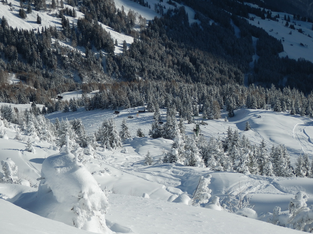 20.1.16venet221fls7j.jpg