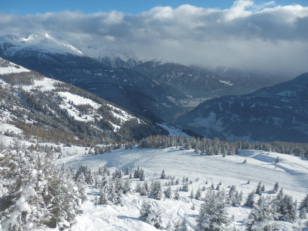 20.1.16venet225mdsam.jpg
