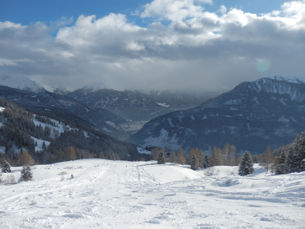 20.1.16venet2281ps6m.jpg