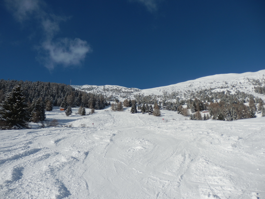 20.1.16venet230fqs8z.jpg