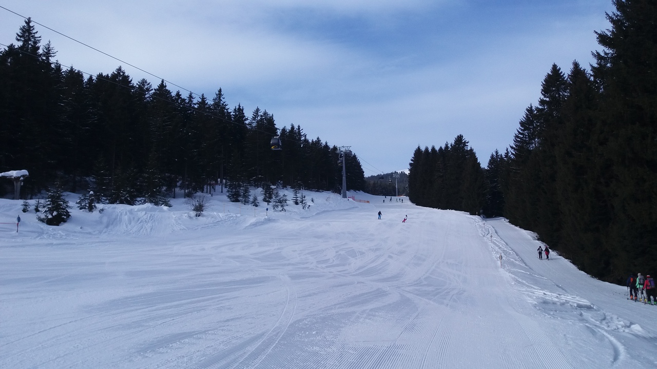 20180211_0955196fo1d.jpg