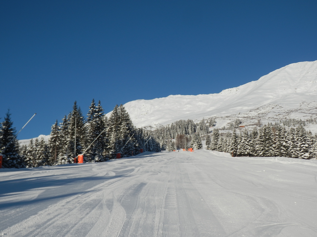 21.01.16sfl008l8sif.jpg
