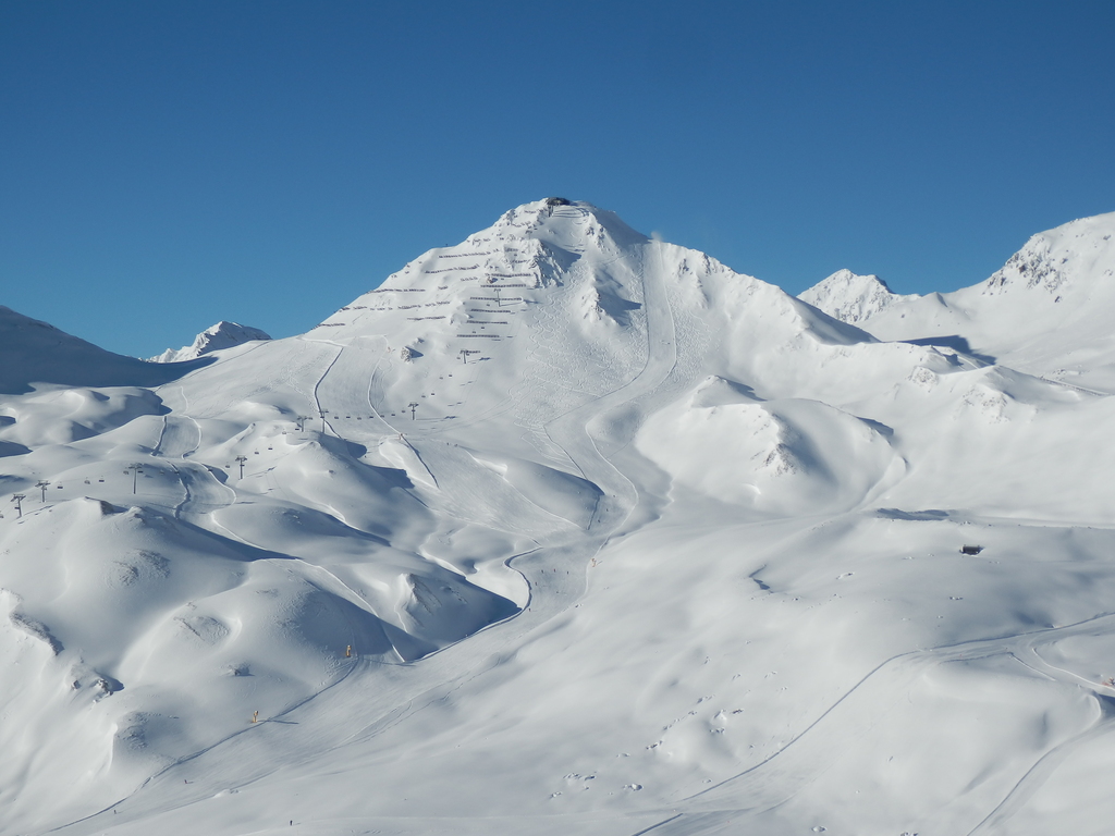 21.01.16sfl031vksym.jpg
