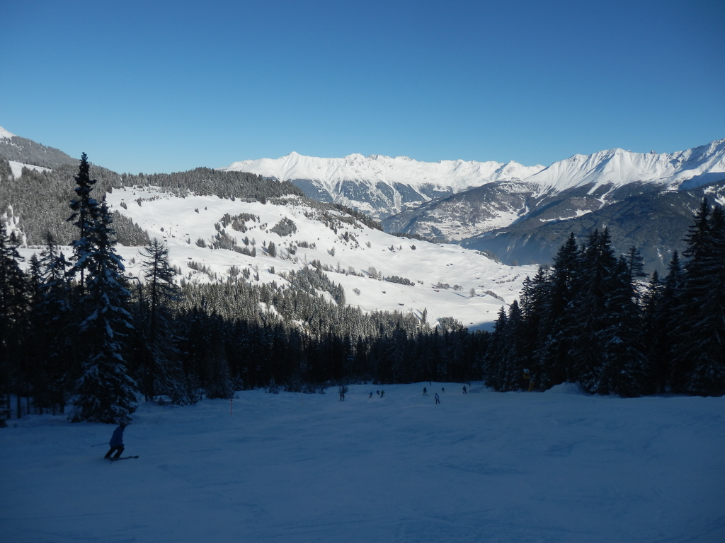 21.01.16sfl0640wp4o.jpg