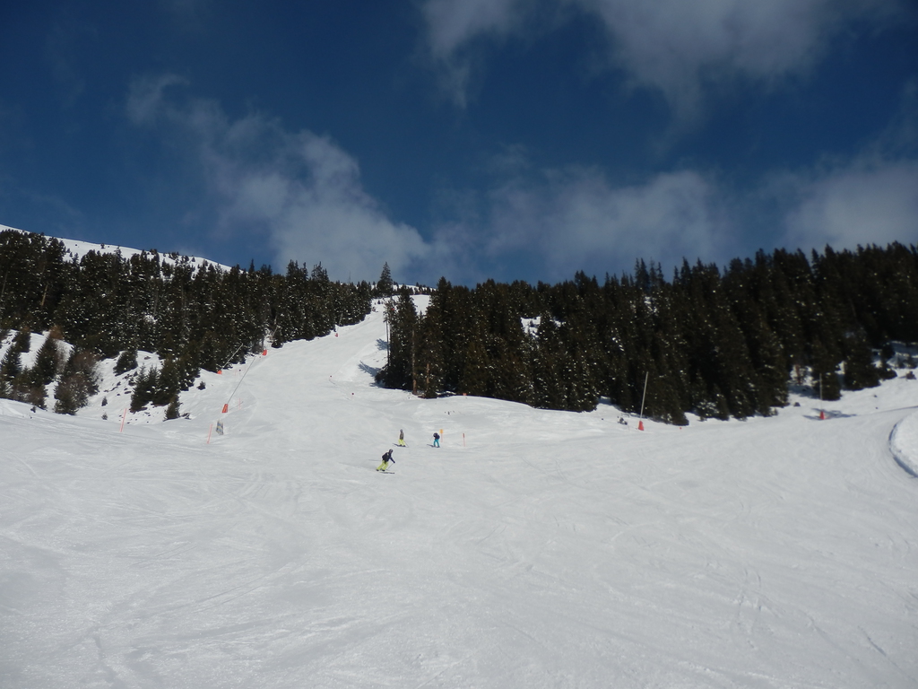 23.1.16sfl016sbbpr.jpg