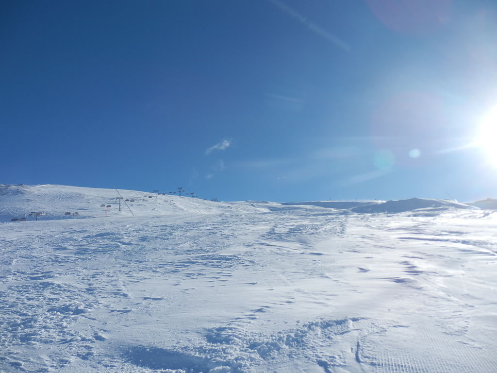23.1.16sfl033elss5.jpg