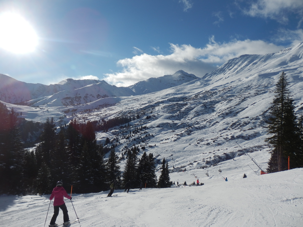 23.1.16sfl043mys1f.jpg