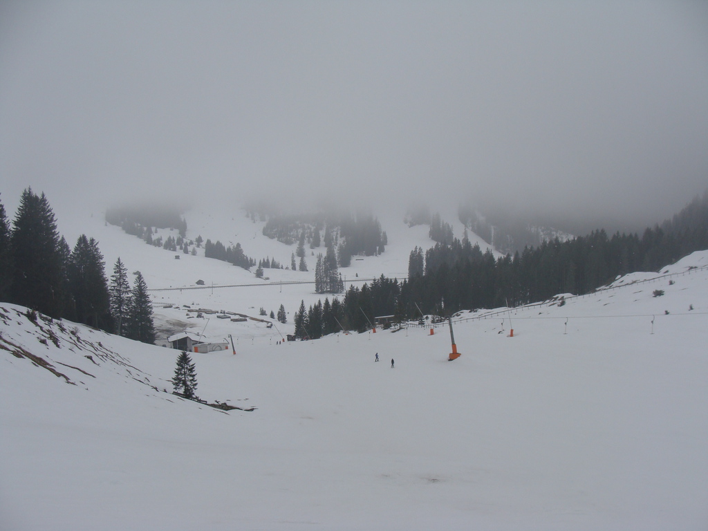 29.2.16berwang00577auy.jpg