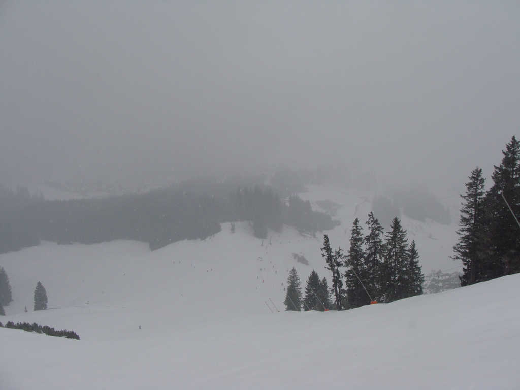 29.2.16berwang0092cl1o.jpg