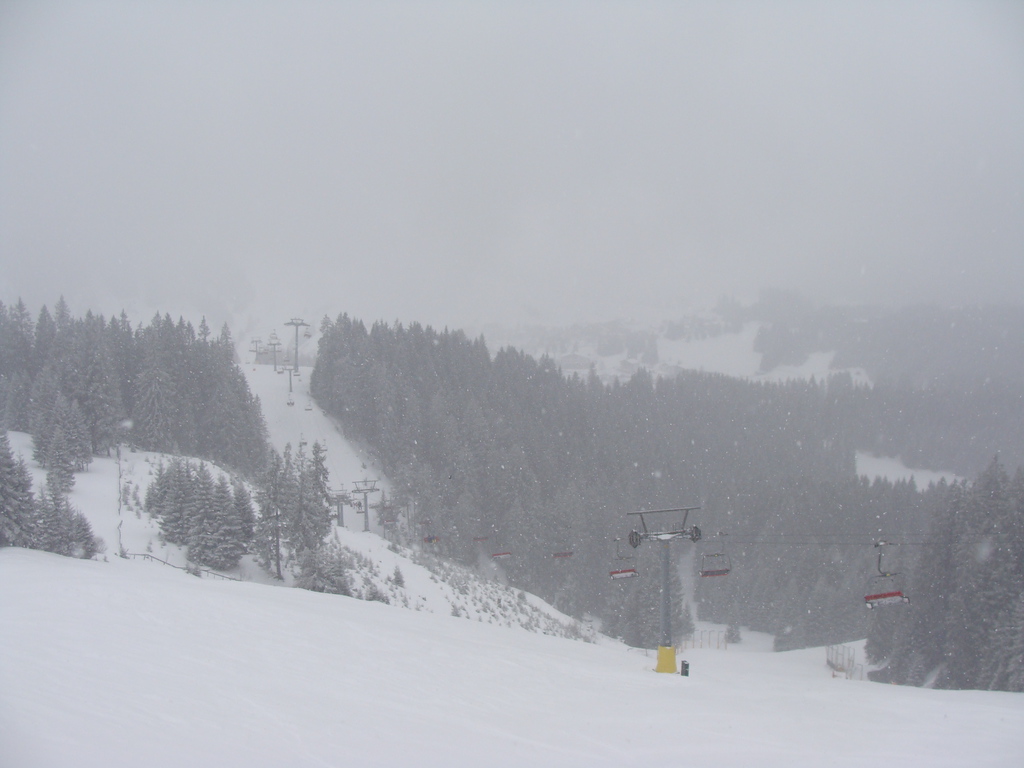 29.2.16berwang01549zxu.jpg