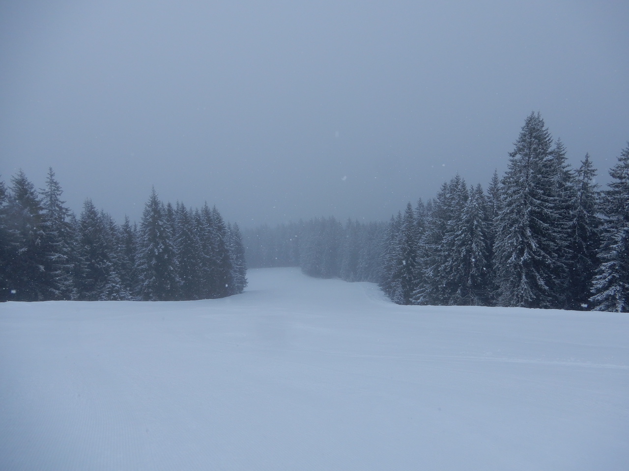 29.3.18steinplatte004gfoz1.jpg