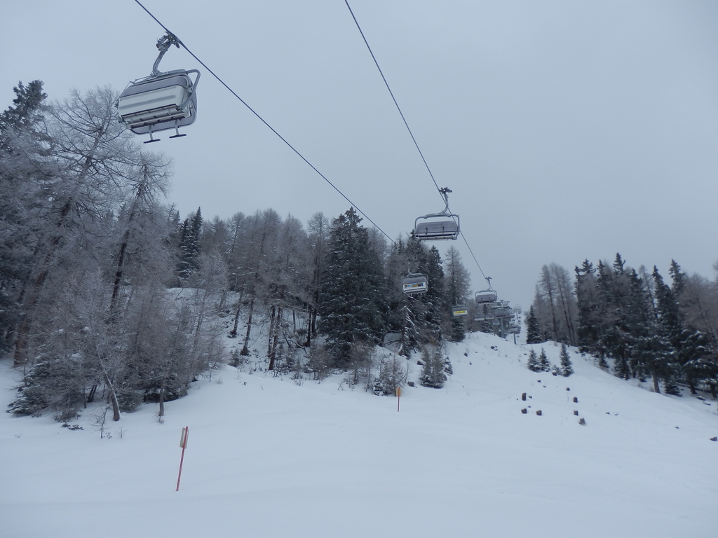 30.1.15venet0032rob9.jpg