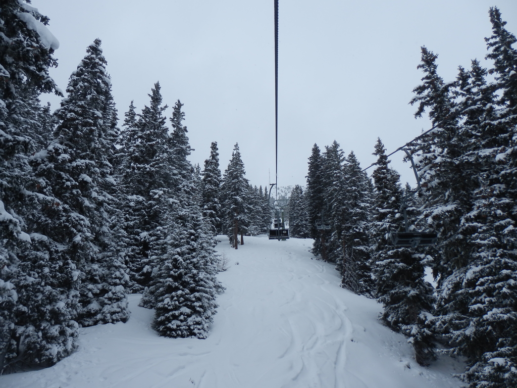 30.1.15venet012khocu.jpg