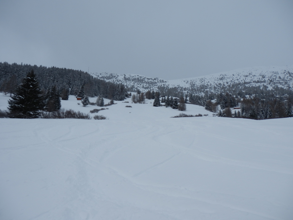 30.1.15venet0174dr92.jpg