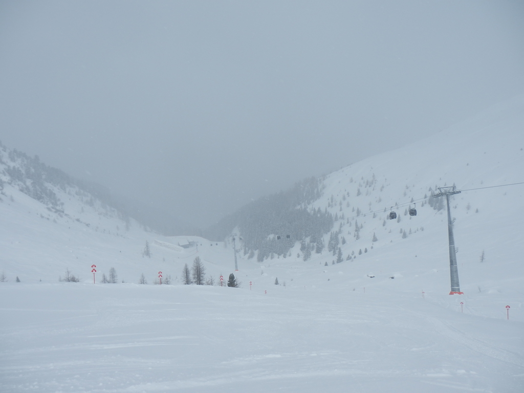 4.3.15see022tkubr.jpg