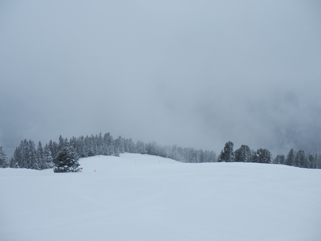 4.3.15see02475ujx.jpg
