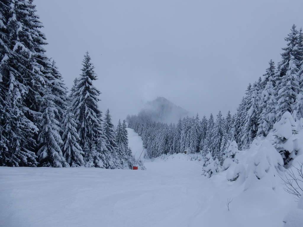 8.1.17markbachjoch008aejv3.jpg