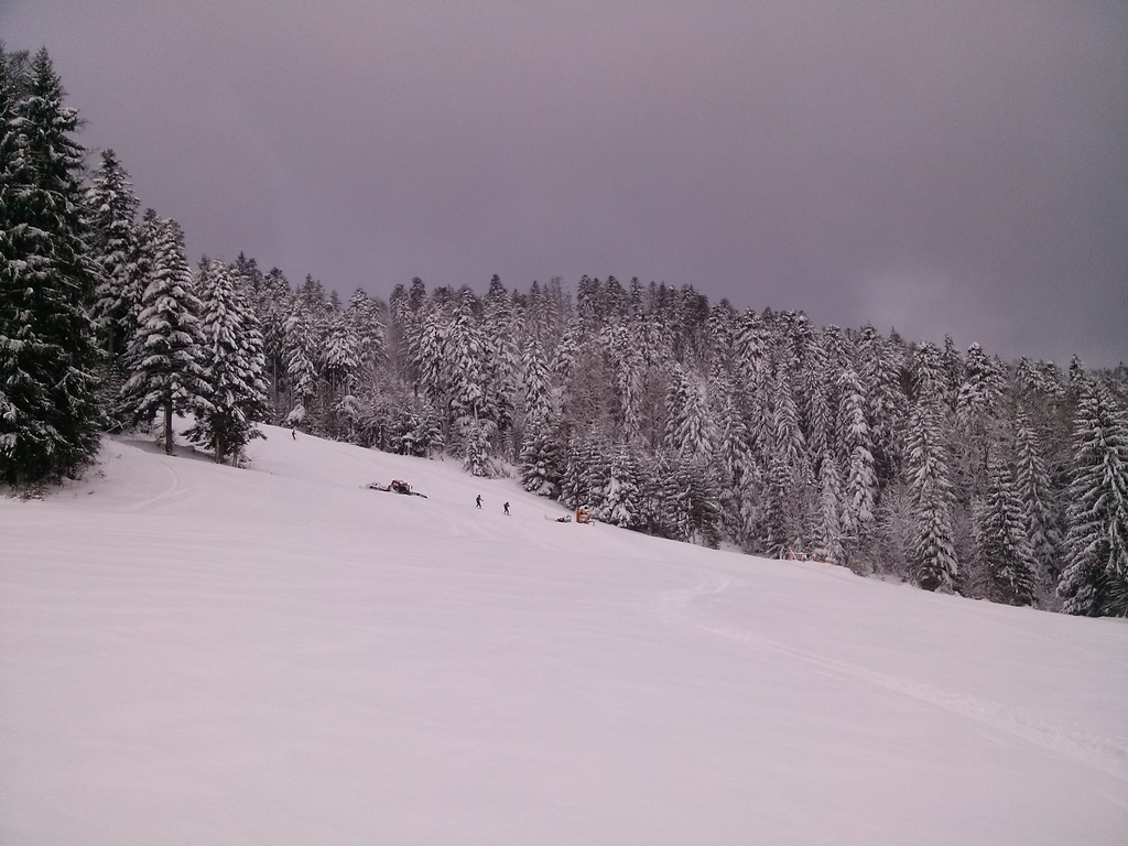cam00379hdsgr.jpg