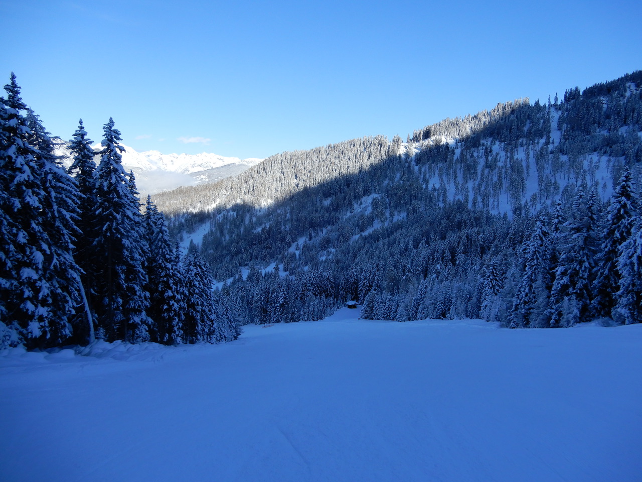 dscn35614uj89.jpg
