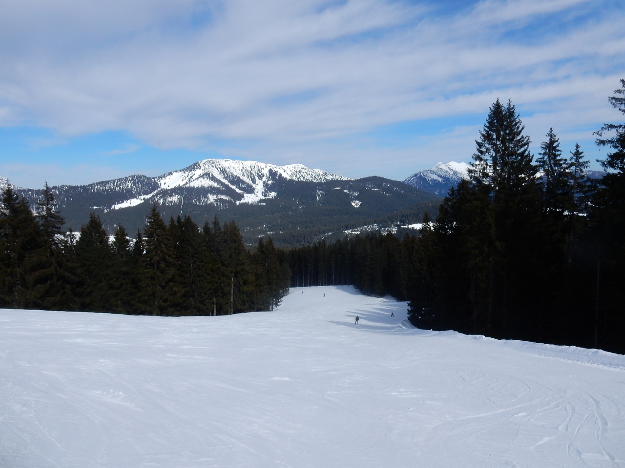 dscn46720vjxg.jpg