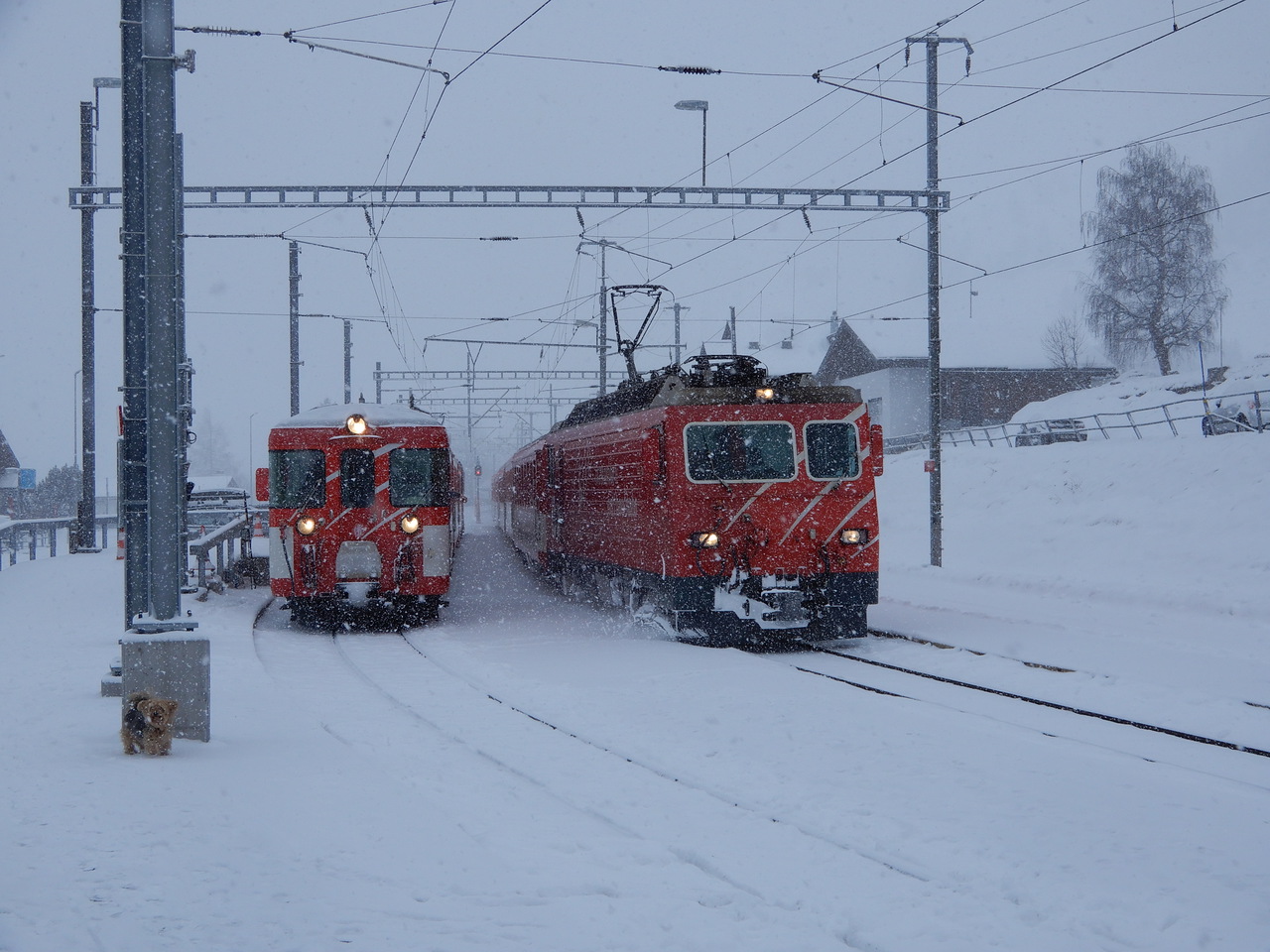 dscn5522sqk2l.jpg
