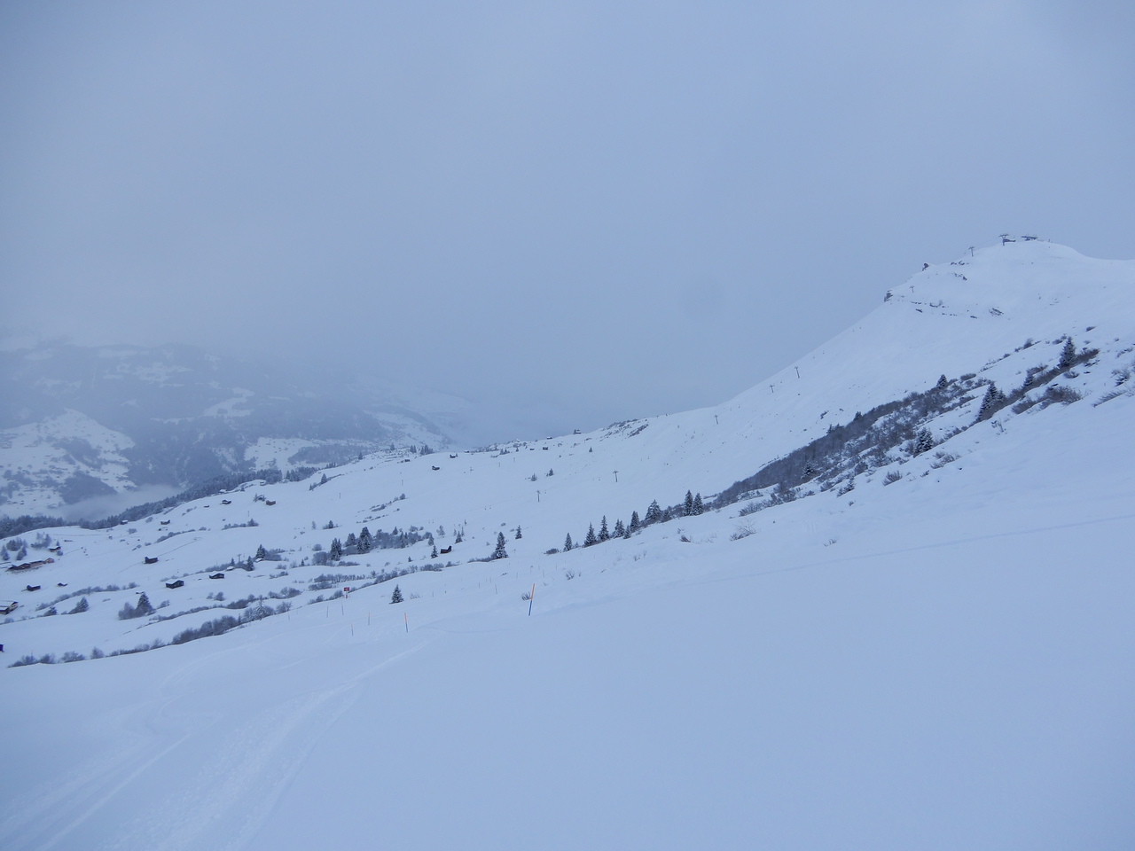 dscn55400fj7l.jpg