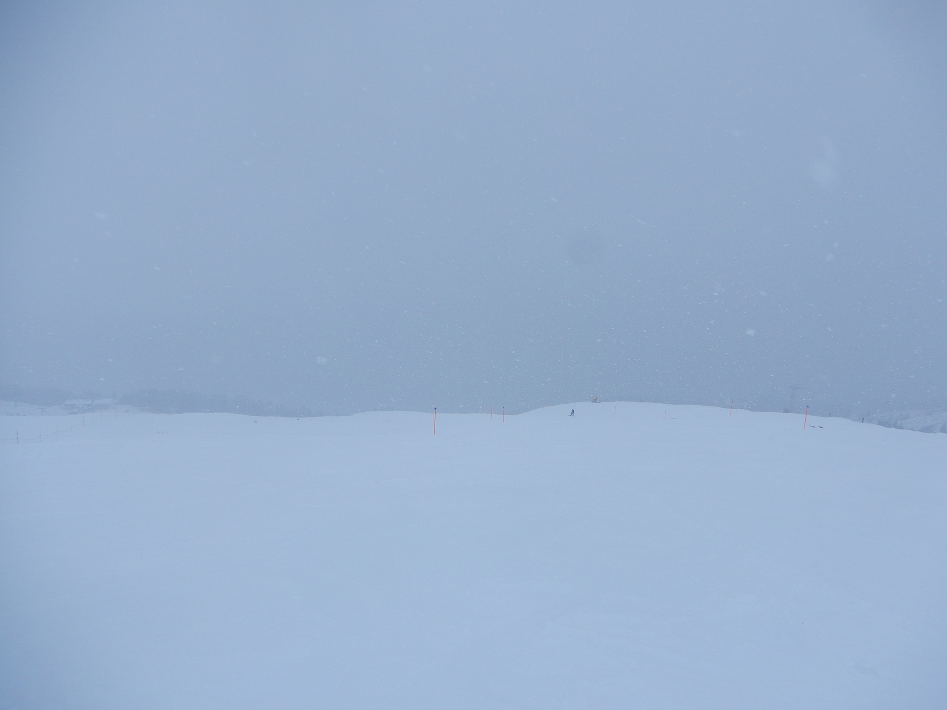 dscn6422ytc3w.jpg