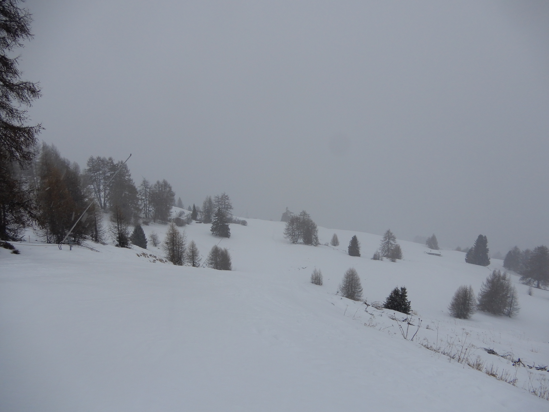 dscn6770qcf3b.jpg