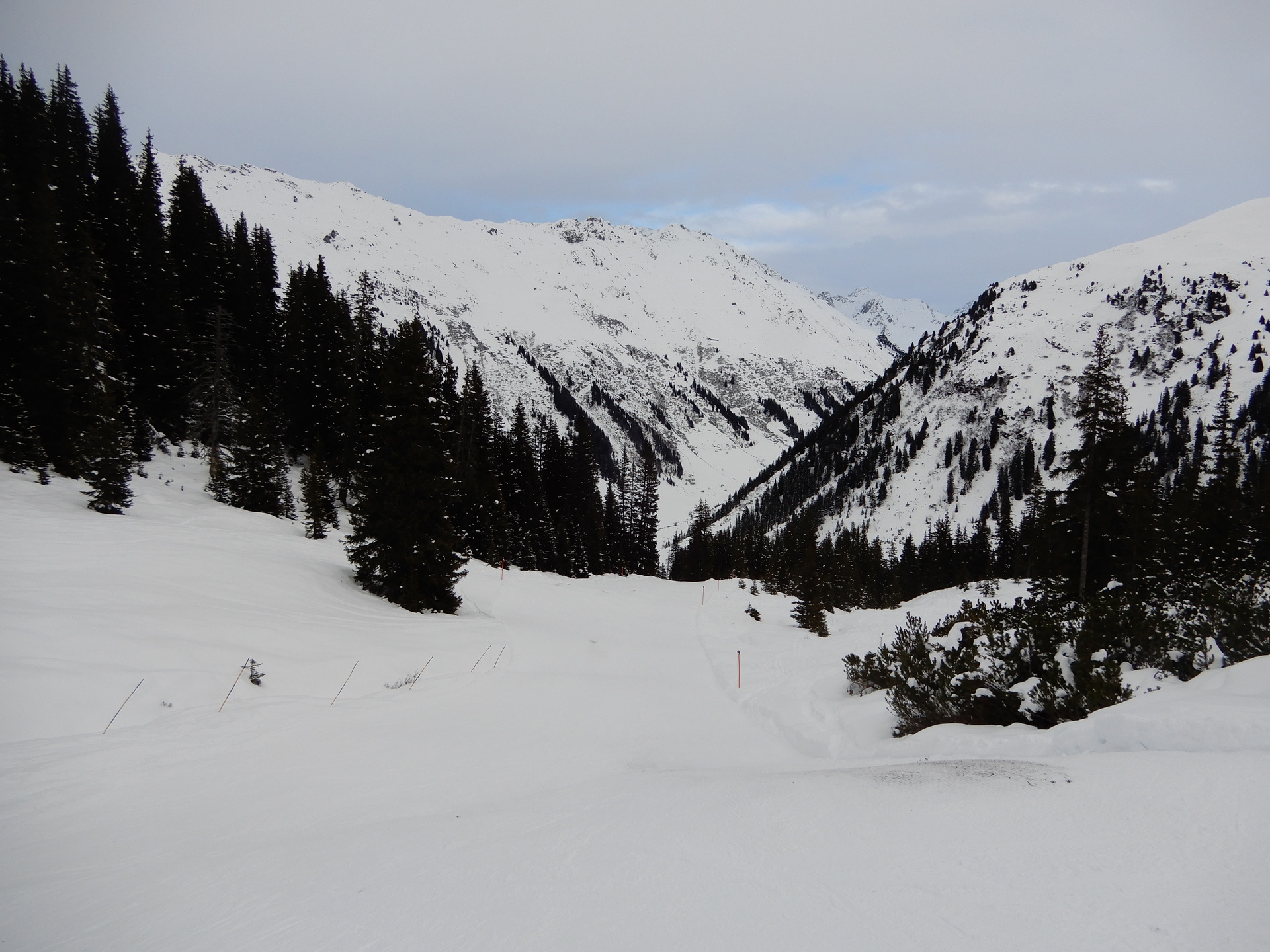 dscn685974drv.jpg
